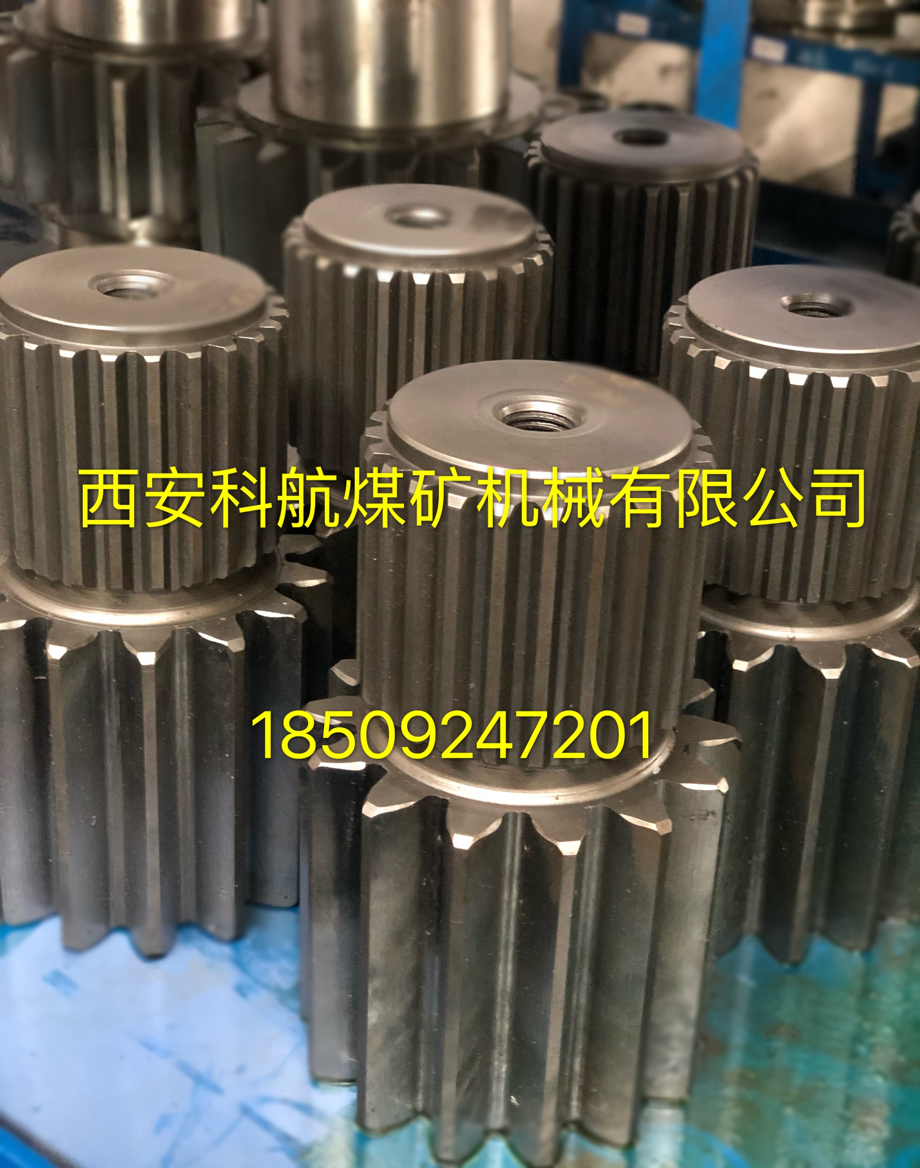 �c���鿴Ԕ��